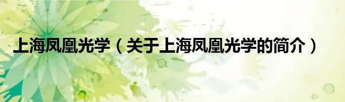 上海凤凰光学（关于上海凤凰光学的简介）