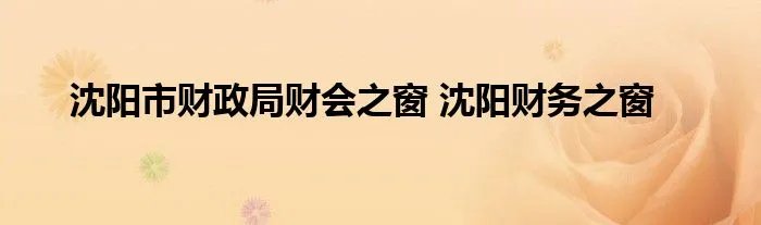 沈阳市财政局财会之窗 沈阳财务之窗