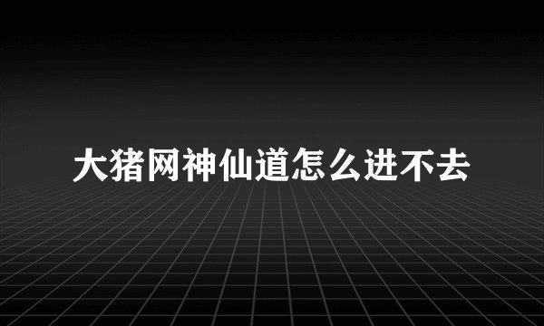 大猪网神仙道怎么进不去