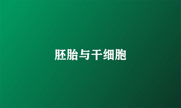 胚胎与干细胞