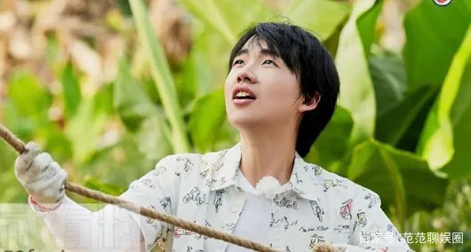 张婧仪和周迅是什么关系?为什么会去向往的生活?