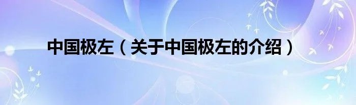 中国极左（关于中国极左的介绍）