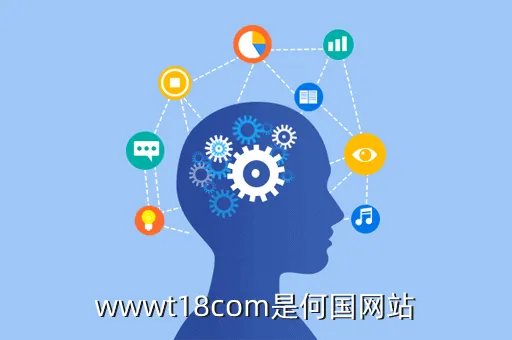 www ccedin net，wwwt18com是何国网站