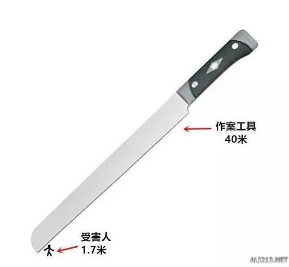 真正的大宝剑!女子持40米长刀砍人 真相令人细思恐极