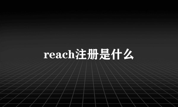 reach注册是什么