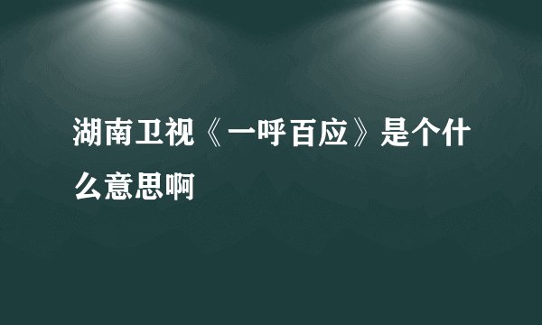 湖南卫视《一呼百应》是个什么意思啊