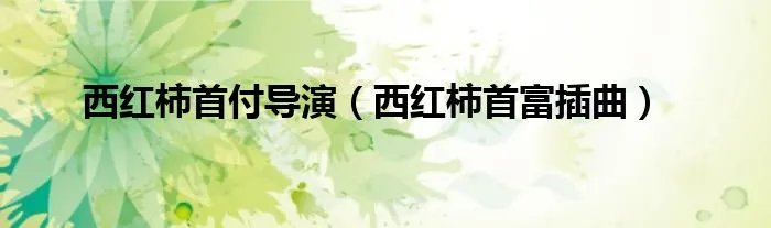 西红柿首付导演（西红柿首富插曲）