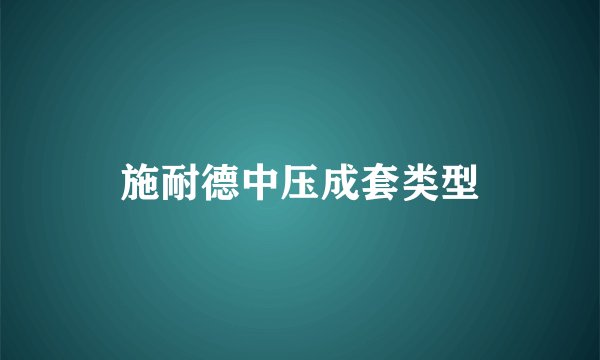 施耐德中压成套类型