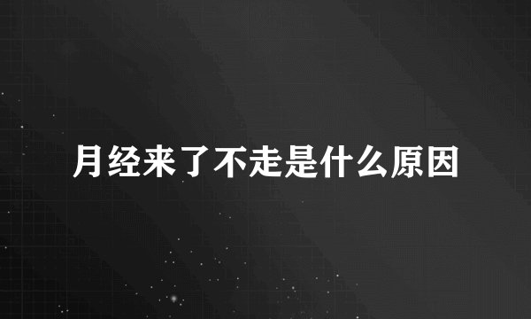 月经来了不走是什么原因
