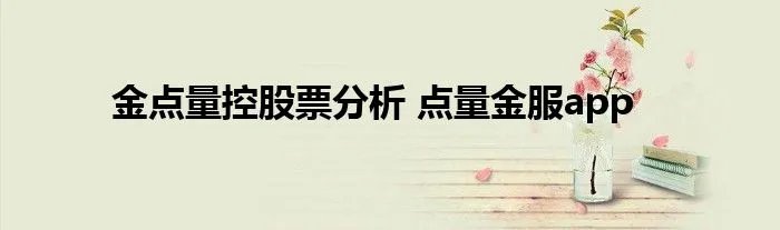 金点量控股票分析 点量金服app