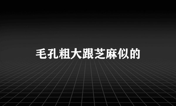毛孔粗大跟芝麻似的