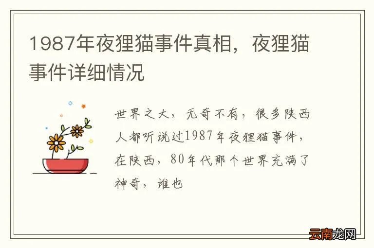 1987年夜狸猫事件真相，夜狸猫事件详细情况