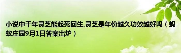 小说中千年灵芝能起死回生,灵芝是年份越久功效越好吗（蚂蚁庄园9月1日答案出炉）