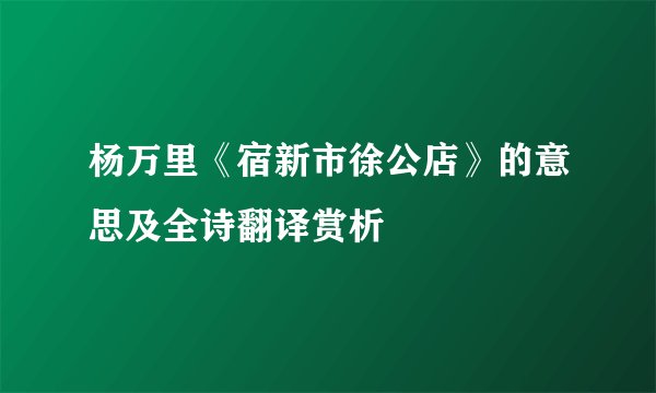 杨万里《宿新市徐公店》的意思及全诗翻译赏析