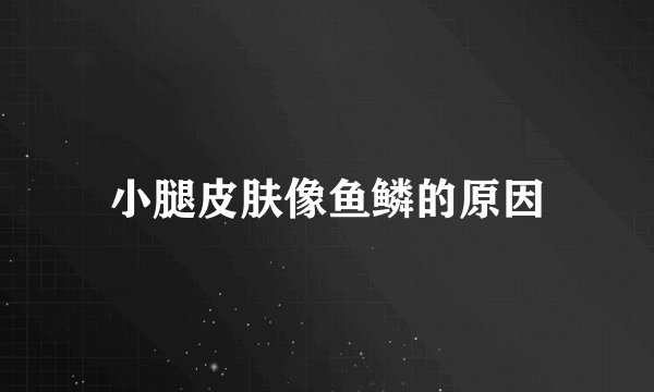 小腿皮肤像鱼鳞的原因