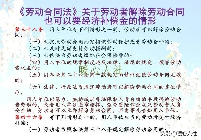 网易前离职员工谈绩效不达标被辞退，你遇到过这样的公司吗，是怎样的？