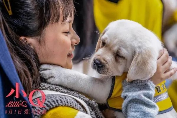 如何评价电影《小Q》？