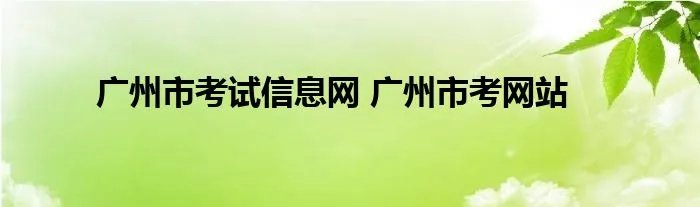 广州市考试信息网 广州市考网站