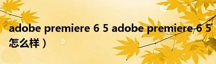 adobe premiere 6 5 adobe premiere 6 5怎么样）