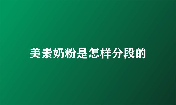 美素奶粉是怎样分段的