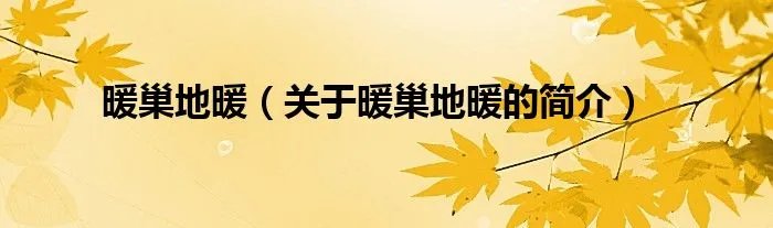暖巢地暖（关于暖巢地暖的简介）