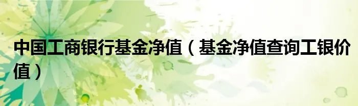 中国工商银行基金净值（基金净值查询工银价值）