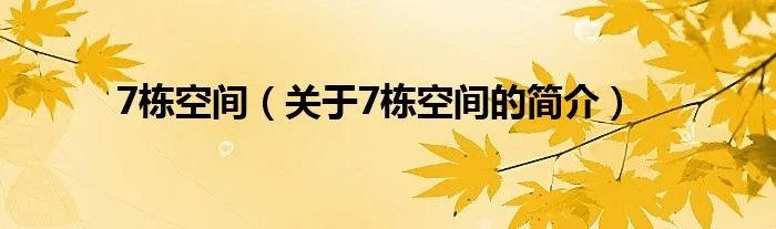 7栋空间（关于7栋空间的简介）
