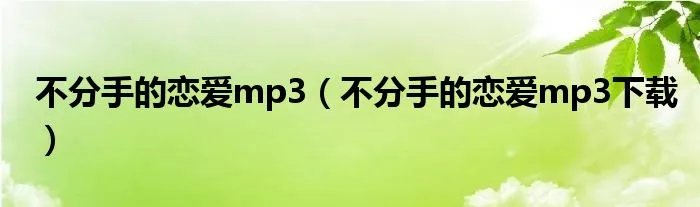 不分手的恋爱mp3(不分手的恋爱mp3下载)