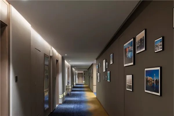 长沙五星级酒店前十名 长沙华晨豪生大酒店上榜第一设计豪华