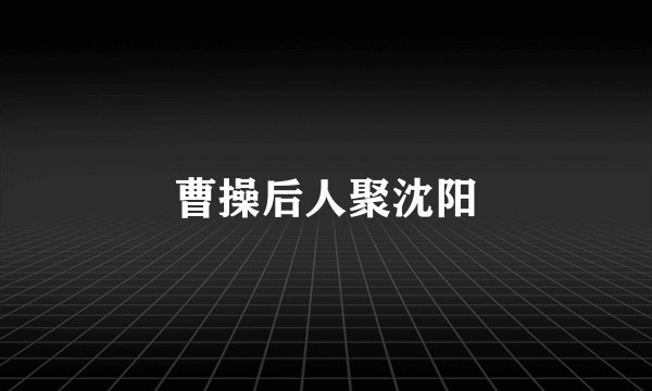 曹操后人聚沈阳