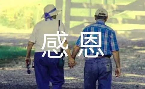 感恩的日记