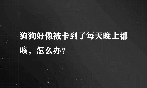 狗狗好像被卡到了每天晚上都咳,怎么办?