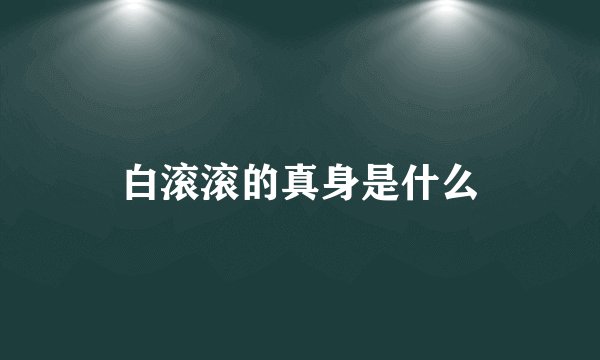 白滚滚的真身是什么