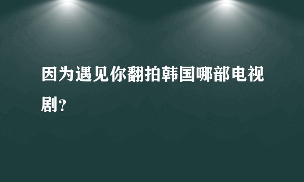 因为遇见你翻拍韩国哪部电视剧？