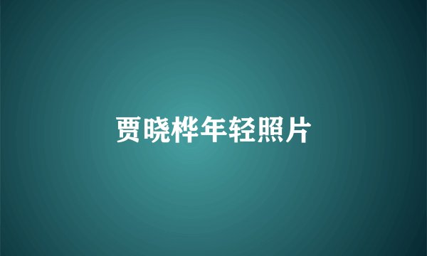 贾晓桦年轻照片