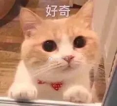 夫妻间工资条算不算隐私？