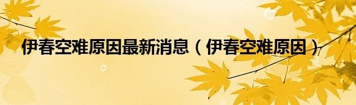伊春空难原因最新消息（伊春空难原因）