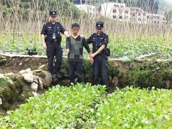 重庆一博士1个月偷菜6次被抓,他将受到怎样的惩罚?