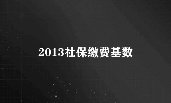 2013社保缴费基数