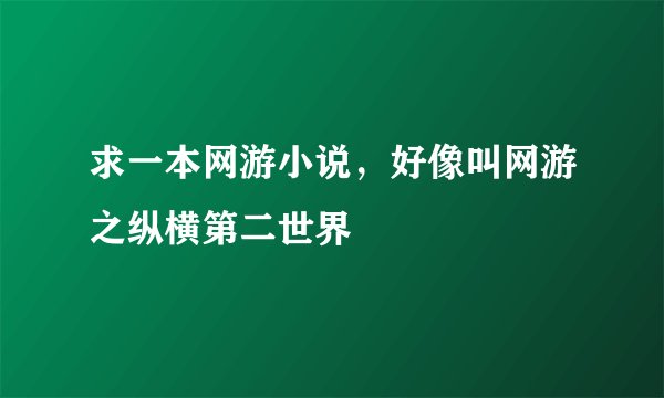 求一本网游小说，好像叫网游之纵横第二世界
