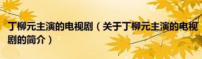 丁柳元主演的电视剧（关于丁柳元主演的电视剧的简介）