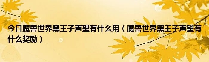 今日魔兽世界黑王子声望有什么用（魔兽世界黑王子声望有什么奖励）