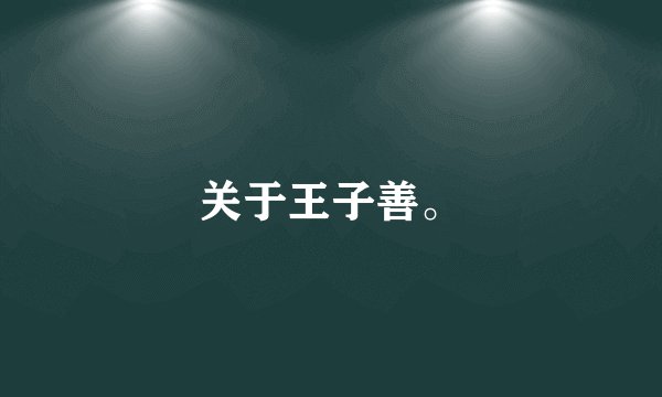关于王子善。