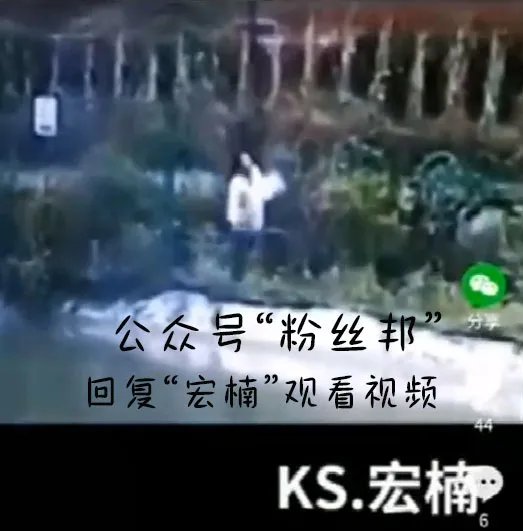 段宏楠个人资料简介 他触电身亡事故