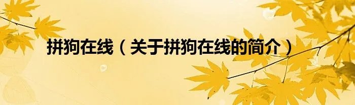 拼狗在线（关于拼狗在线的简介）