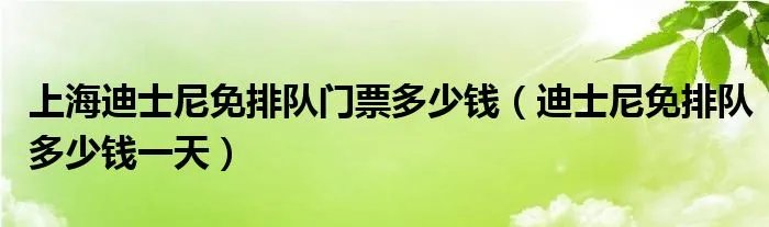上海迪士尼免排队门票多少钱（迪士尼免排队多少钱一天）