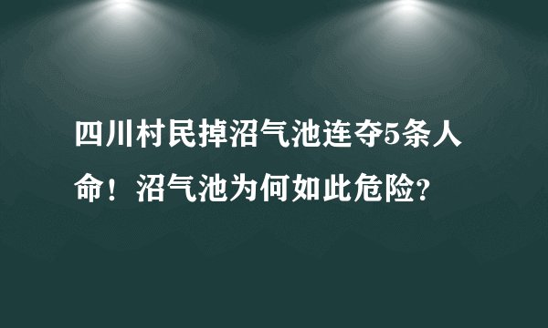 四川村民掉沼气池连夺5条人命!沼气池为何如此危险?