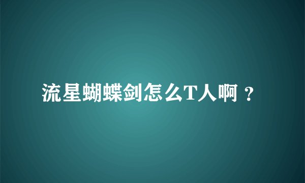 流星蝴蝶剑怎么T人啊 ？
