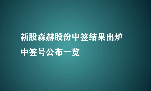 新股森赫股份中签结果出炉 中签号公布一览
