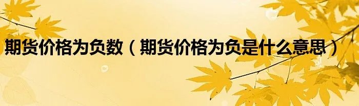期货价格为负数（期货价格为负是什么意思）